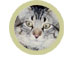 feline